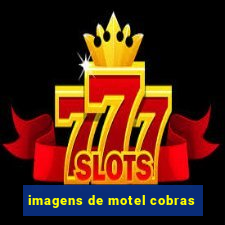 imagens de motel cobras